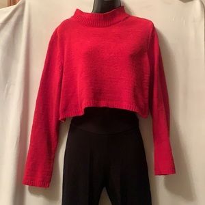 Wild fable Red Crop Top